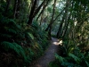 Kepler Track Kepler Track