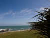 Curio Bay Campground