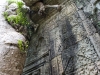 img_5311 img_5311