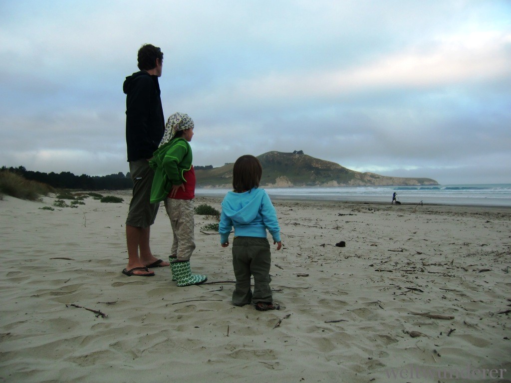 Waikouaiti Beach CIMG2246 Wieder daheim ein Neuseeland Reise Resümee