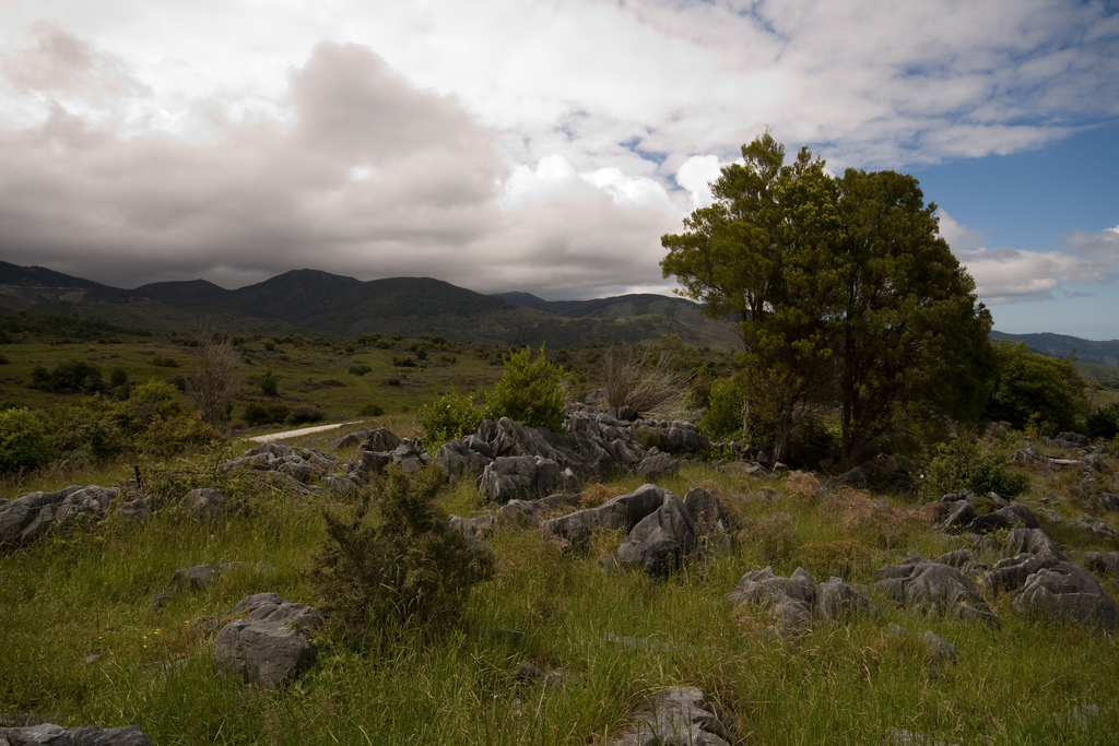 Takaka Hill aka Chetwood Forest (c) thorsten.rinne/Flickr Takaka Hill aka Chetwood Forest (c) thorsten.rinne/Flickr