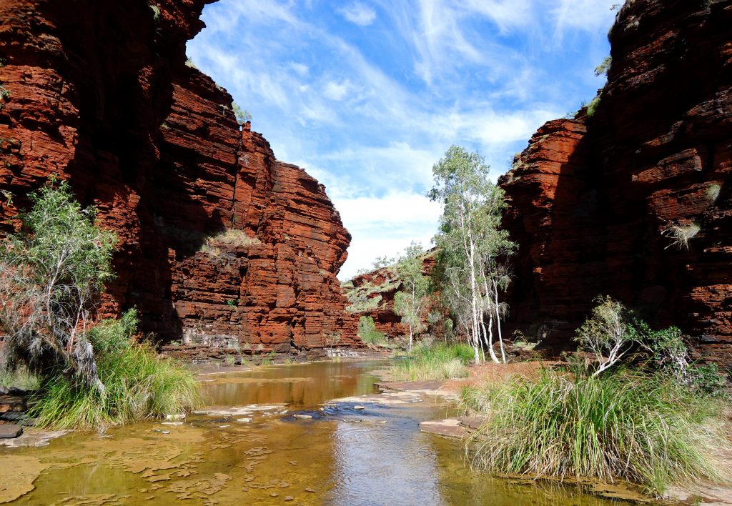 (c) in-australien.com