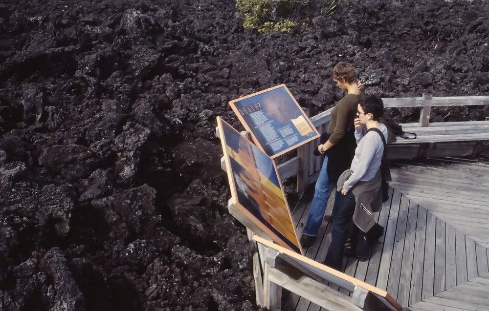 Volcanic Rangitoto