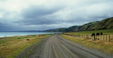 Neuseeland Roadtrip Cape Palliser