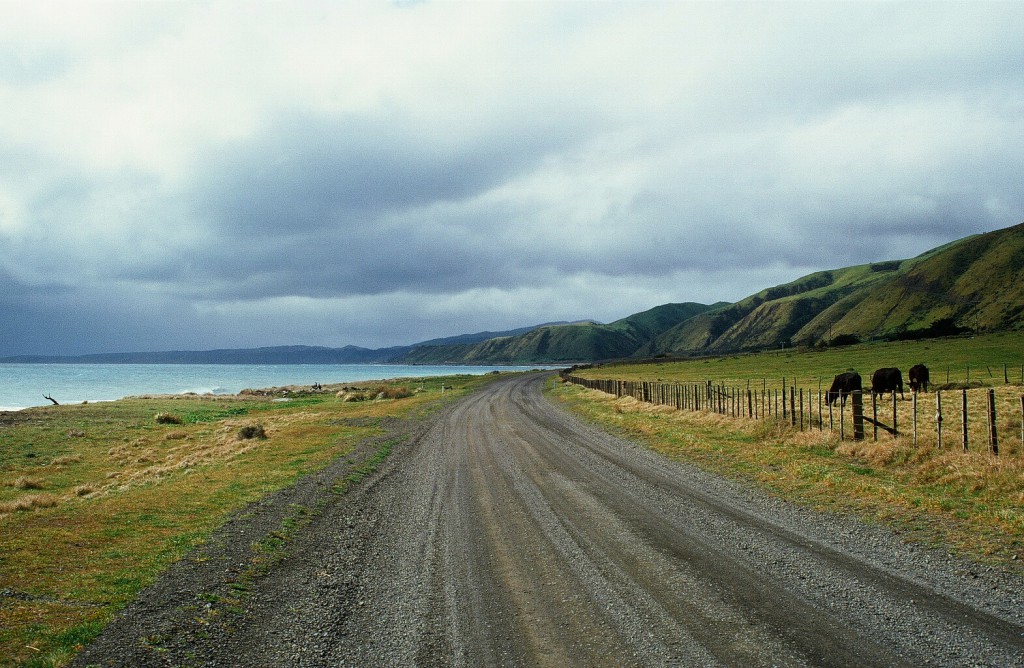 Neuseeland Roadtrip Cape Palliser