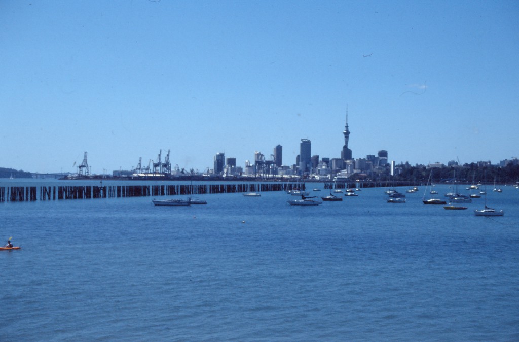 Skyline von Auckland mit Harbour Bridge