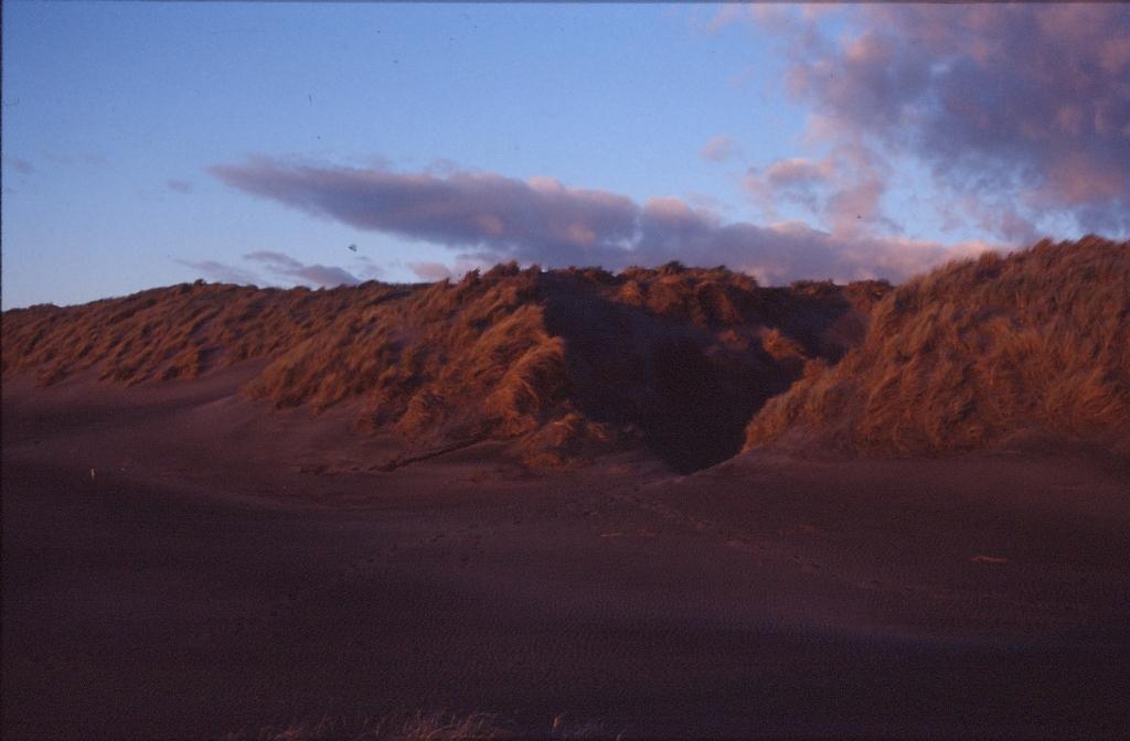 On the road again - von Waipu Cove nach Kawhia 1