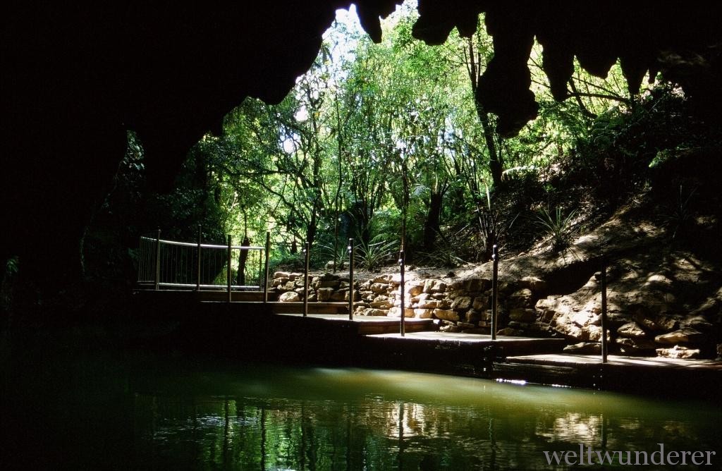 Waitomo Cave glow-worms