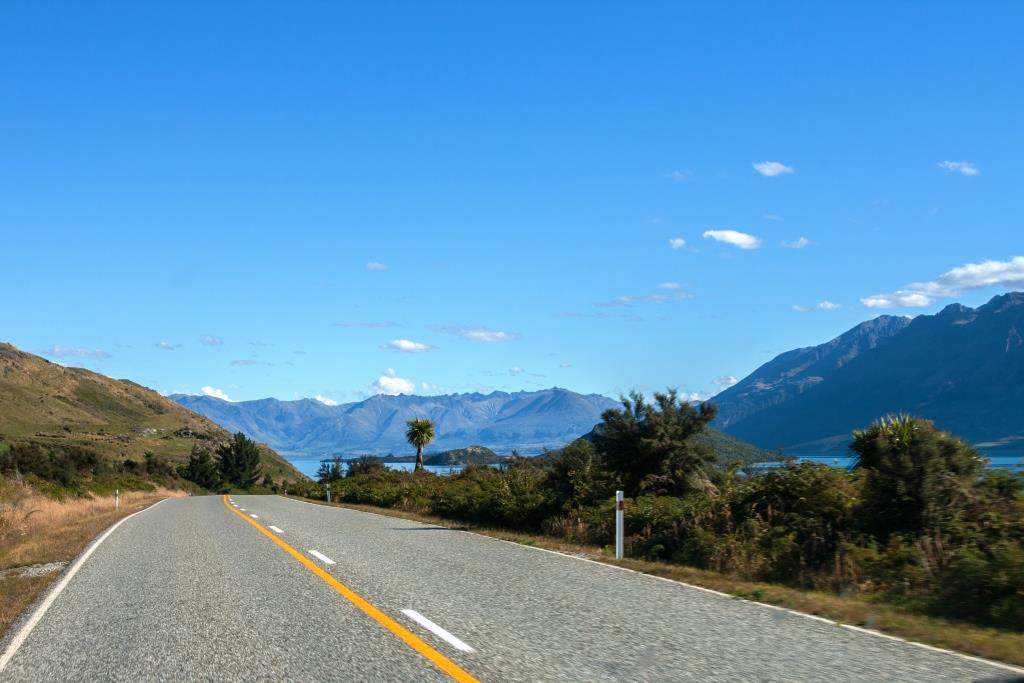 Reisevorbereitung Neuseeland: den Führerschein, bitte! 2 Führschein für Neuseeland