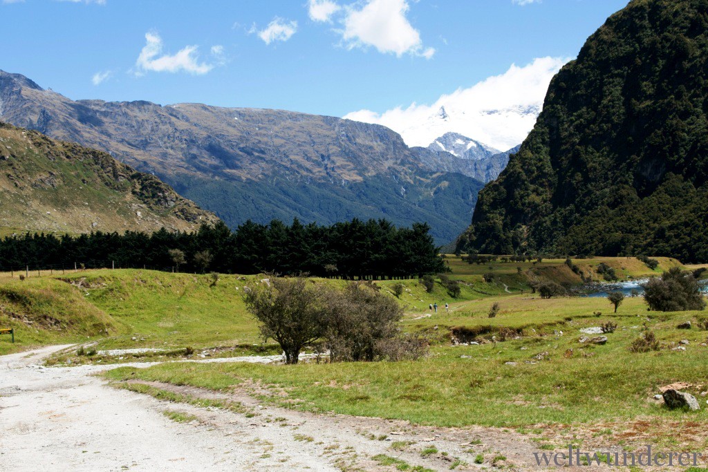 Weltwunderer Rob Roy Glacier Track