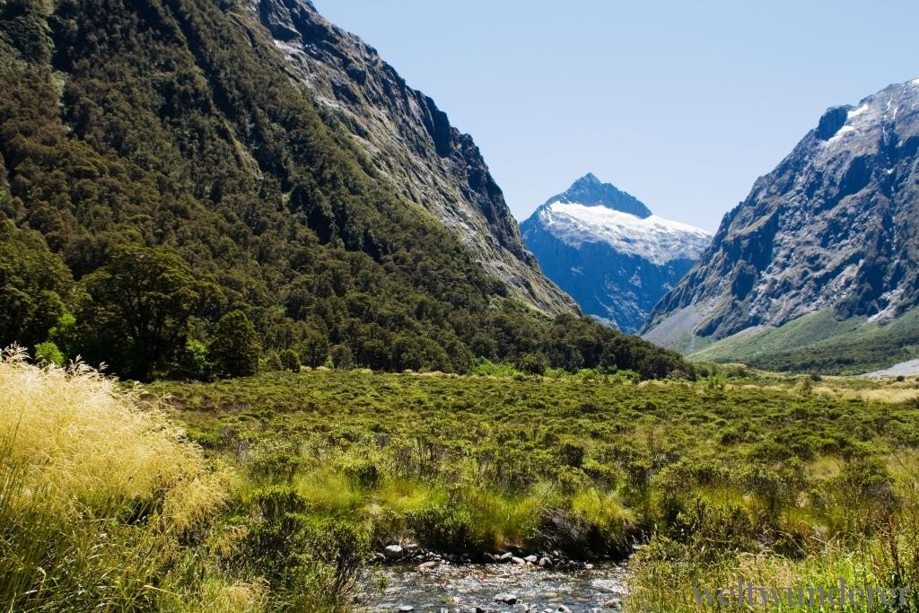 Roadtrip Milford Road