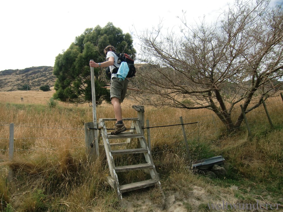 Weltwunderer Purau Banks Peninsula