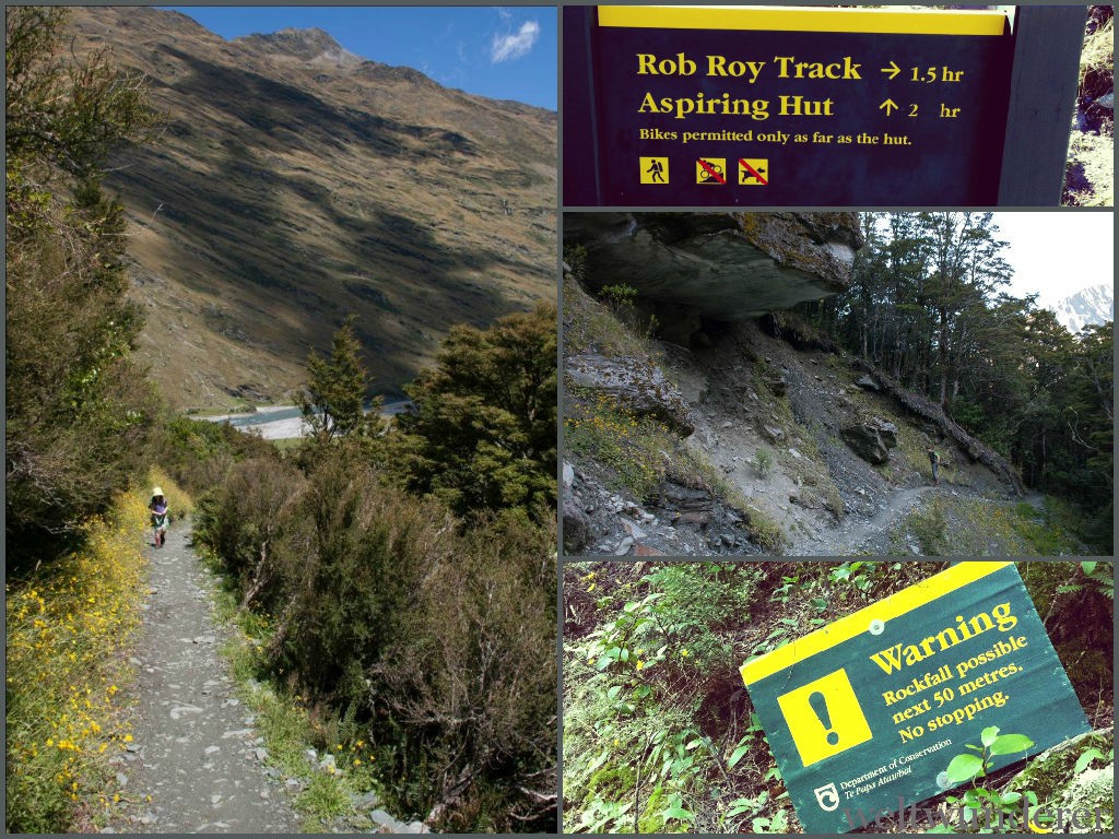 Weltwunderer Rob Roy Glacier Track