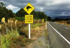 Weltwunderer Verkehrsregeln Neuseeland Tongariro Kiwi Sign