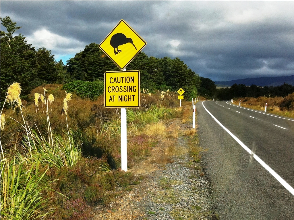 Weltwunderer Verkehrsregeln Neuseeland Tongariro Kiwi Sign