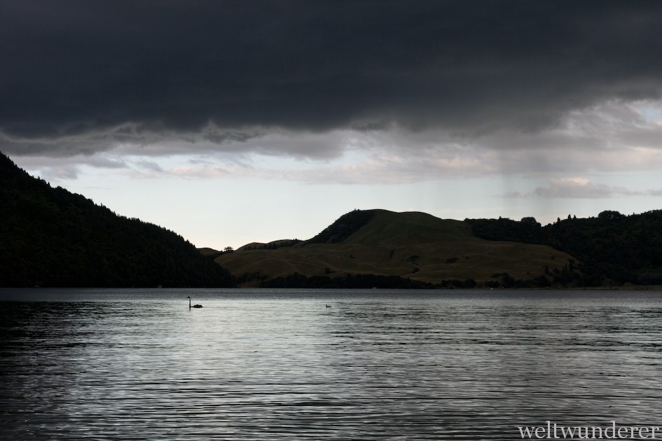 Lake Okareka bei Rotorua