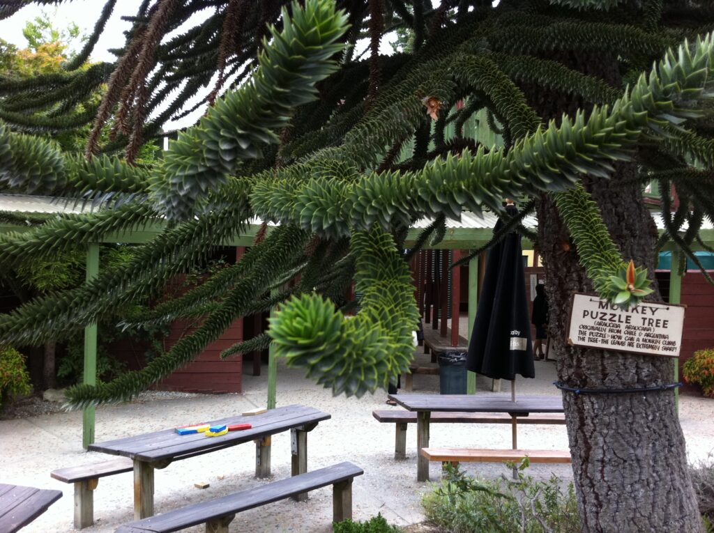 Riesen-Rätselspaß: die Puzzling World Wanaka 13 Puzzling World Wanaka