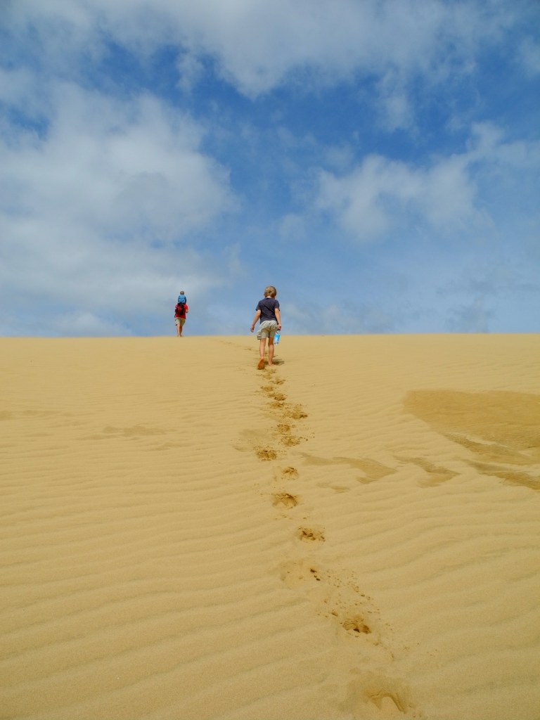 Sand dune surfing Opononi