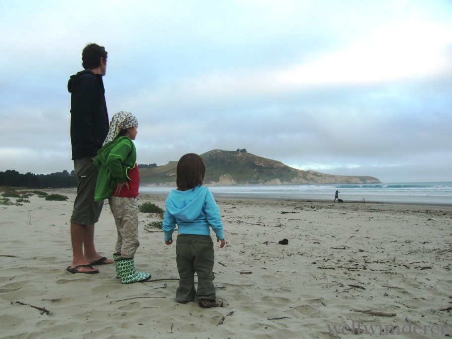 Waikouaiti Beach