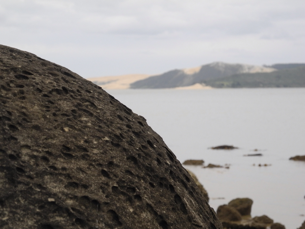 Koutu Boulders am Hokianga Harbour