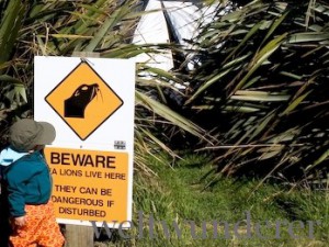 Curio Bay Holiday Park Seelöwen Warnschild