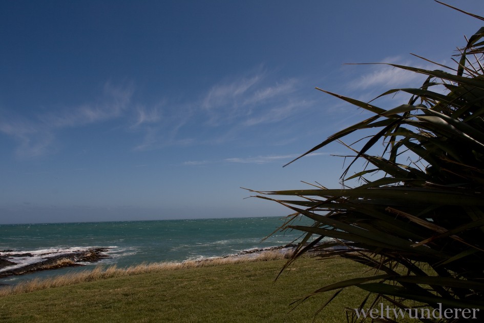 Weltwunderer Curio Bay Holiday Park