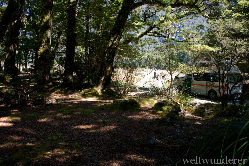 DOC Camping Cascade Creek