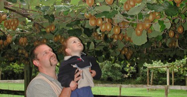 Blog-Interview Nr. 5 - Neuseeland mit drei Kindern und 280 Filmen... 12