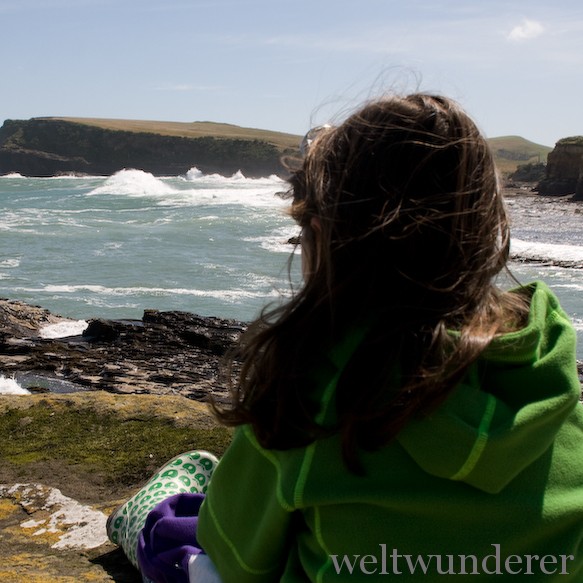 Curio Bay Catlins Southland