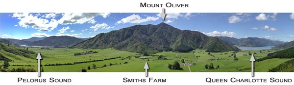 Die Smiths Farm © Smiths Farm