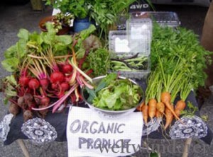 green-basics-organic-produce-stand (c) Treehugger