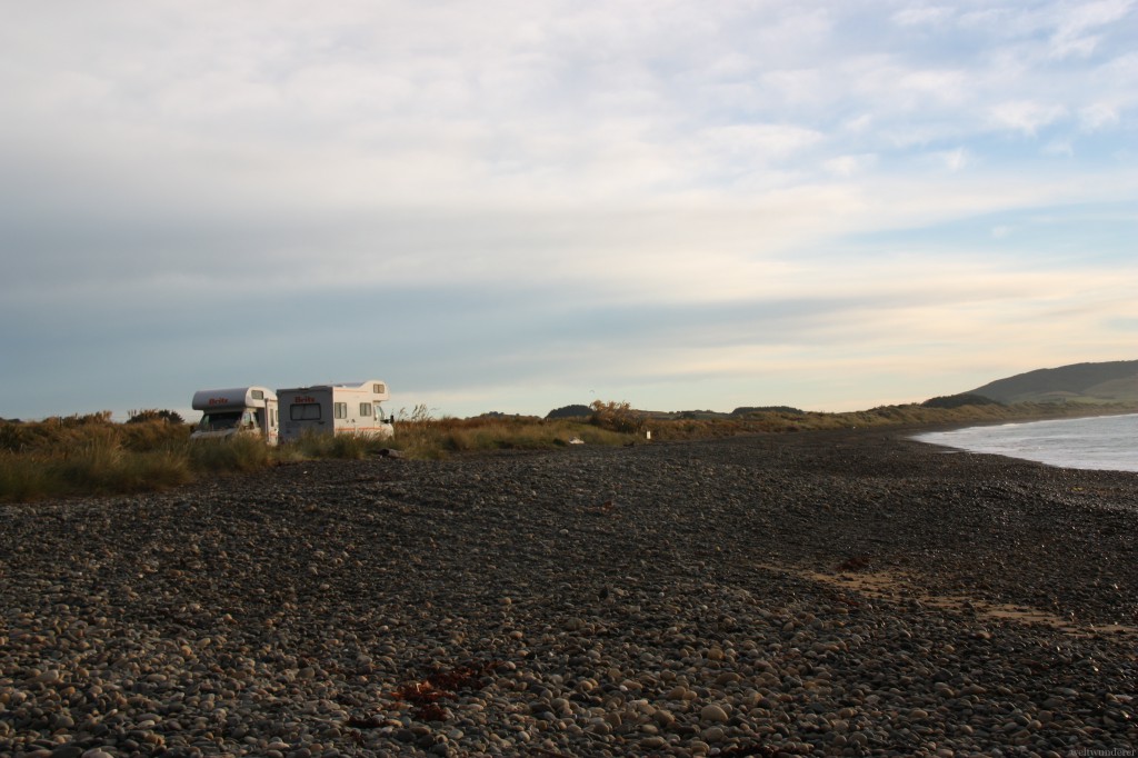 Curio Bay © Hartmut Vogt