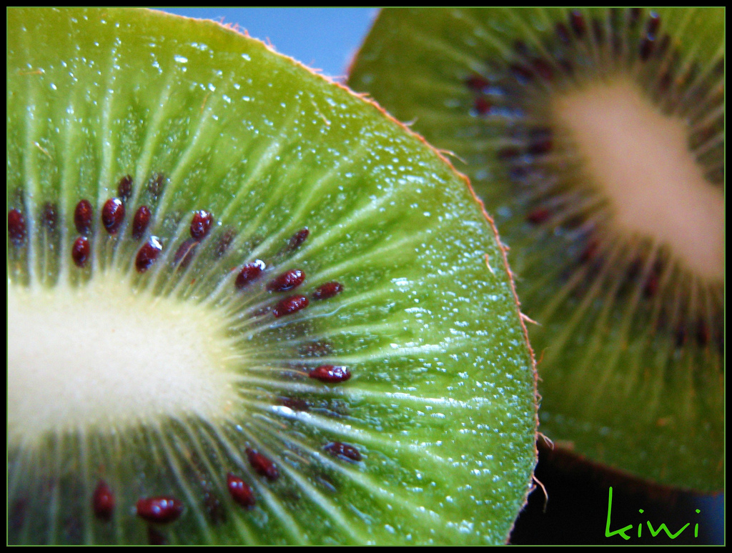 Kiwi c/o FlickR jo-h