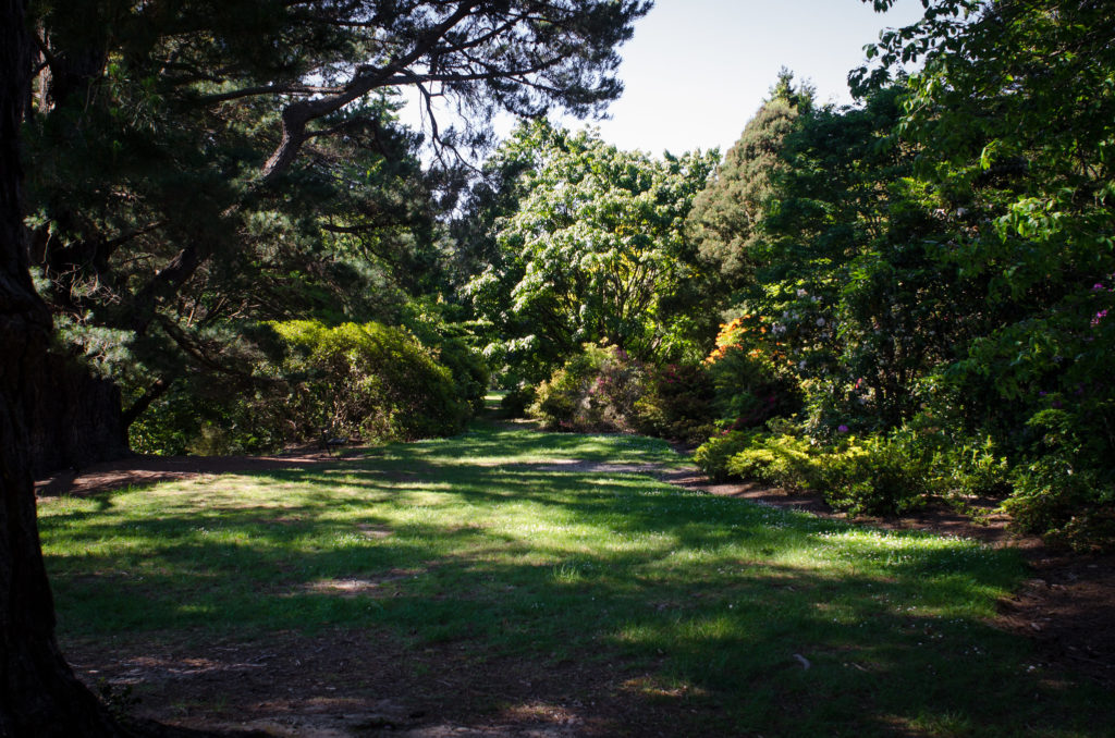 Herr der Ringe Drehorte in Wellington: unsere Location Tour 22 Harcourt Park