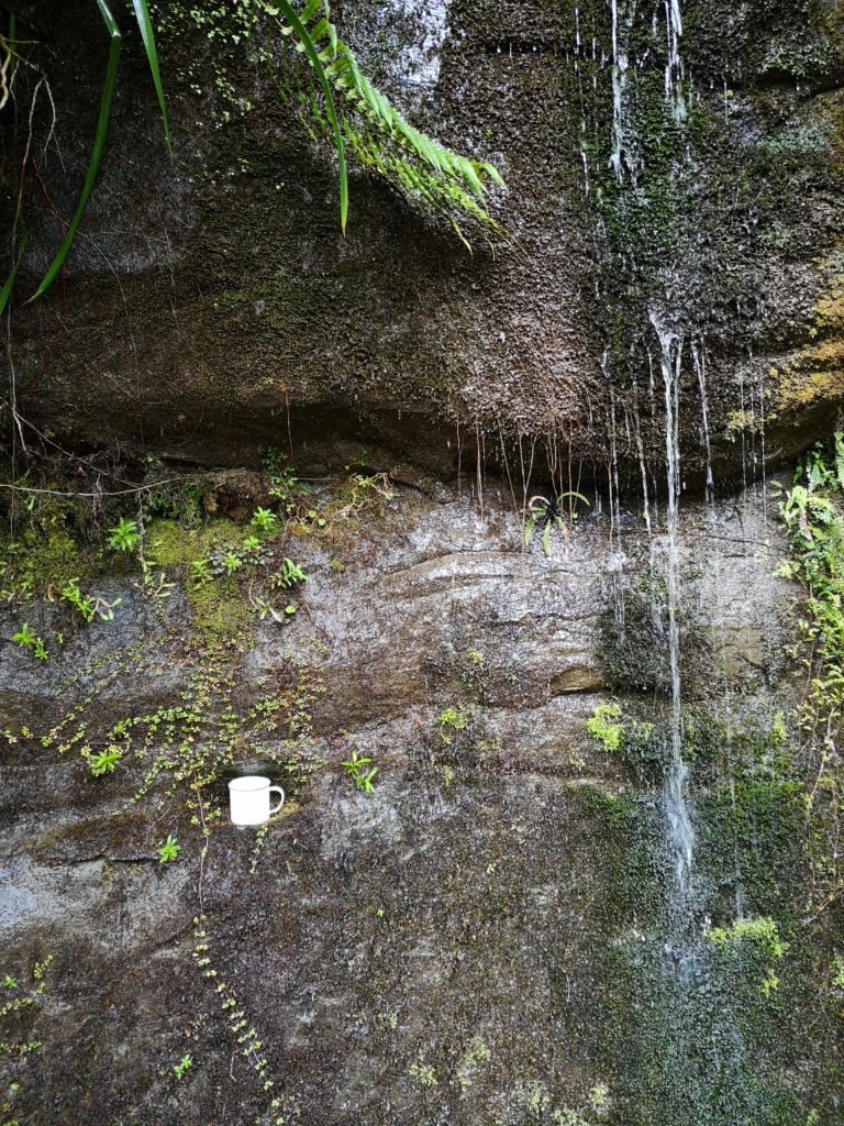 Wasserfälle in Neuseeland
