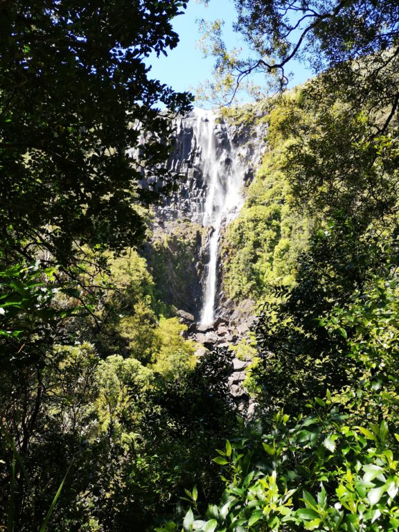 Wairere Falls Matamata