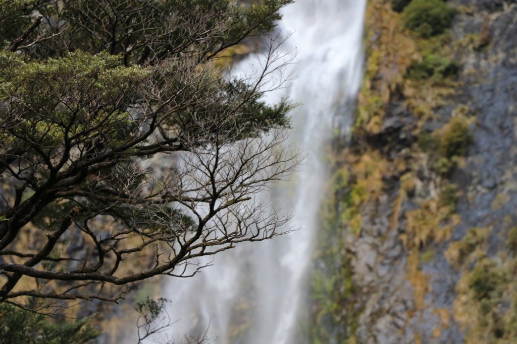 Devil's Punchbowl Falls am Arthurs Pass: perfekter Zwischenstopp für Familien 18 Schönste Wasserfälle in Neuseeland Devils Punchbowl Falls