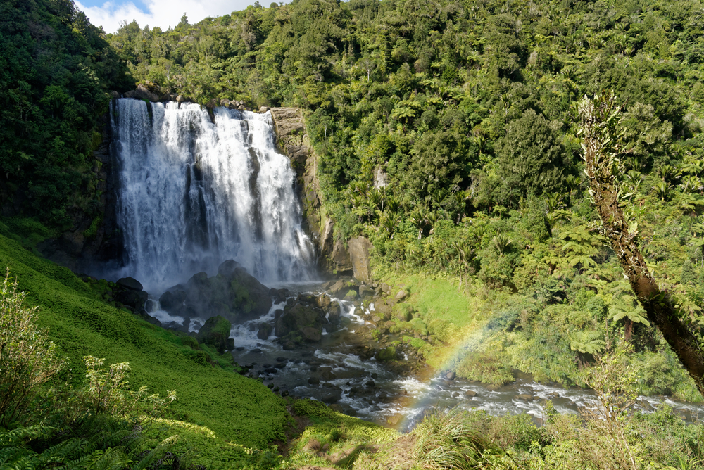 Marokopa Falls Neuseeland