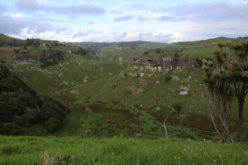 Die besten Herr der Ringe Drehorte auf der Nordinsel 14 Waikato Wetterspitze Herr der Ringe Drehort