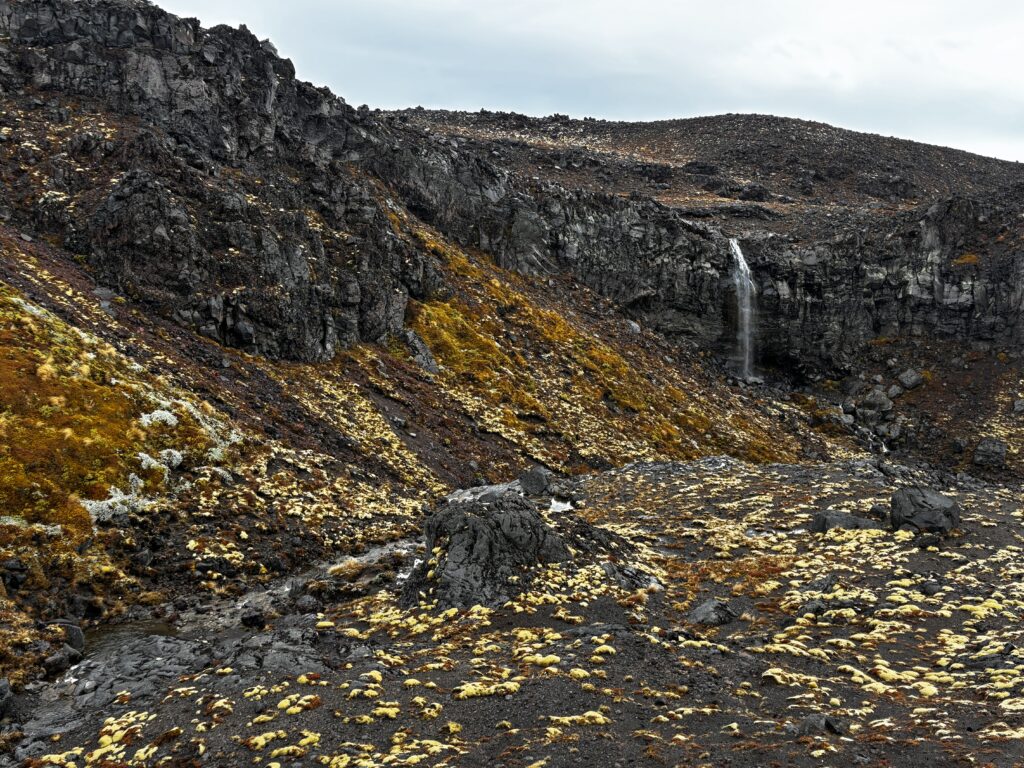 Herr der Ringe Drehorte auf der Nordinsel Turoa