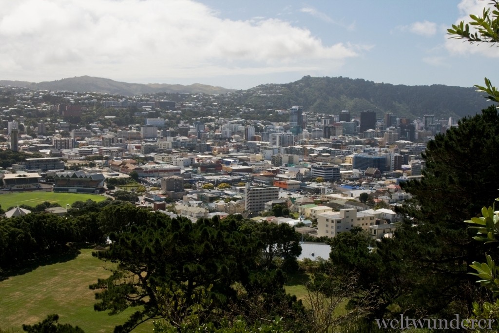 Wellington Panorama from Mount Victoria