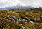 Tongariro National Park mit Kindern Mt Ruapehu