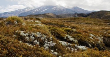 Tongariro National Park mit Kindern Mt Ruapehu