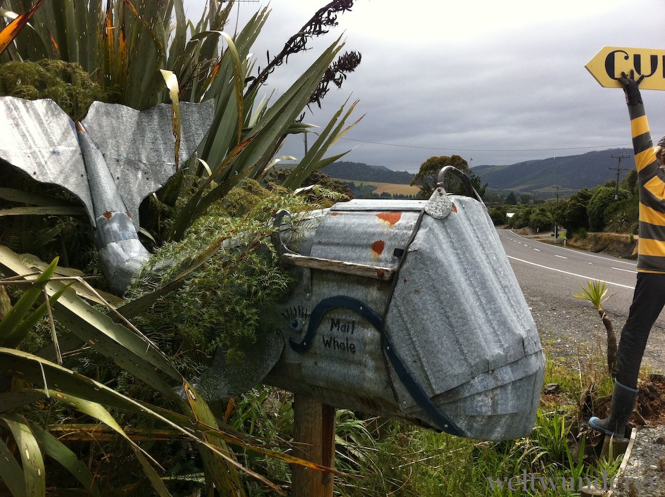 Die Catlins: Neuseelands wilder, rauer Süden 4