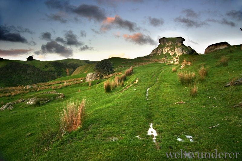 Weathertop Hollow (c) Port Waikato