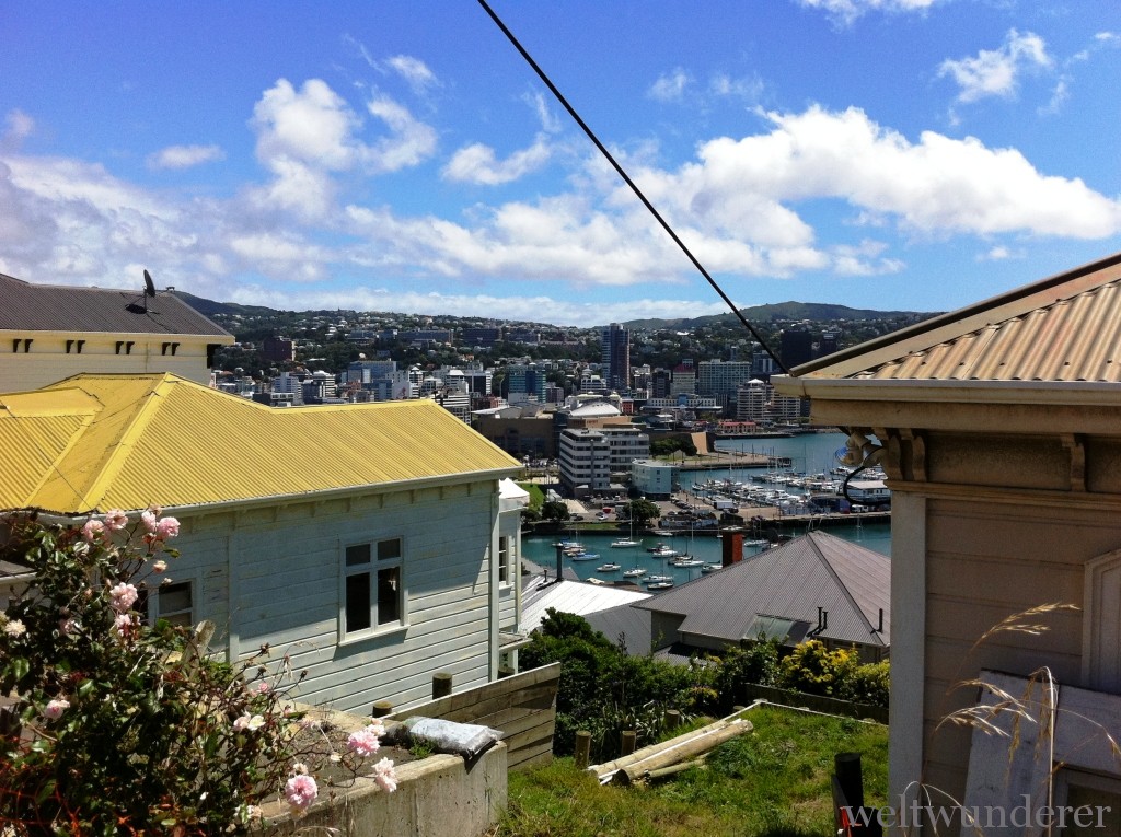 Wellington City Panorama