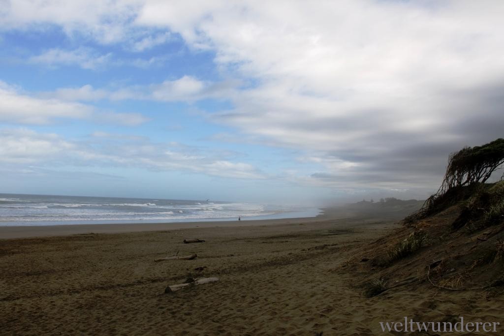 Mystic Muriwai Beach