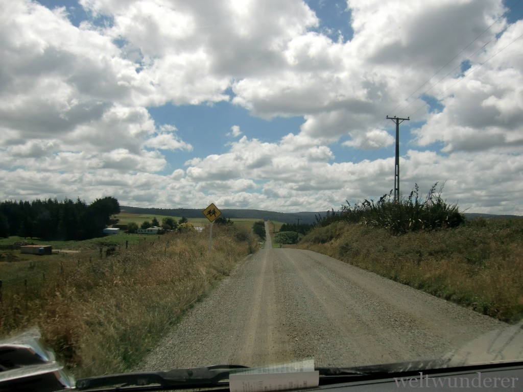 Auf Gravel Roads fährt es sich mit kleineren Campervans besser Auf Gravel Roads fährt es sich mit kleineren Campervans besser