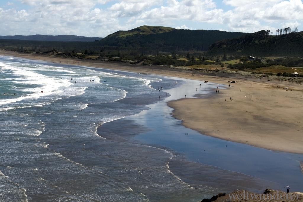 Muriwai Beach