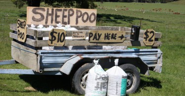 Sheep Poo New Zealand